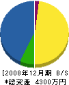 笹原工業 貸借対照表 2008年12月期