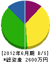 井芹総合開発 貸借対照表 2012年6月期