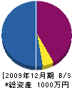 長谷川左官 貸借対照表 2009年12月期