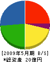 田村建材 貸借対照表 2009年5月期