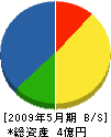 田村建設 貸借対照表 2009年5月期