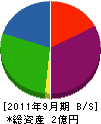 小笠原 貸借対照表 2011年9月期