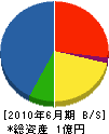 橋本電気工業 貸借対照表 2010年6月期