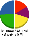 松山 貸借対照表 2010年3月期