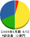 東矢工業 貸借対照表 2009年6月期
