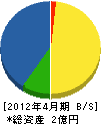 永井組 貸借対照表 2012年4月期