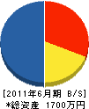 松芳園 貸借対照表 2011年6月期