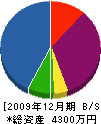 ツカサホーム 貸借対照表 2009年12月期