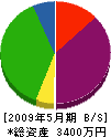 川原海事 貸借対照表 2009年5月期