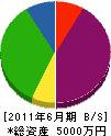 沖田電気設備 貸借対照表 2011年6月期
