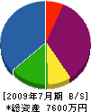 松本産業 貸借対照表 2009年7月期