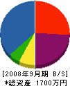 山＊電気 貸借対照表 2008年9月期