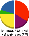 上田電設 貸借対照表 2008年5月期