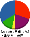 藤井電工 貸借対照表 2012年6月期
