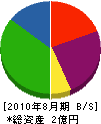 塚田工業 貸借対照表 2010年8月期