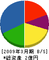 木村電工 貸借対照表 2009年3月期