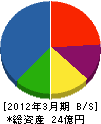 長野愛知電機 貸借対照表 2012年3月期