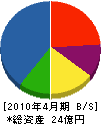 昭栄美術 貸借対照表 2010年4月期