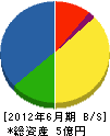 佐藤企業 貸借対照表 2012年6月期