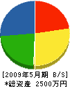 齋藤電工 貸借対照表 2009年5月期