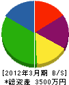 庭正庭芸研究所 貸借対照表 2012年3月期