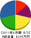 鶴亀建設 貸借対照表 2011年6月期