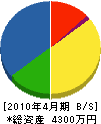 細川土木 貸借対照表 2010年4月期
