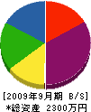 前田電機 貸借対照表 2009年9月期