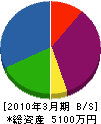 竹内建設 貸借対照表 2010年3月期