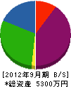 寺田建設 貸借対照表 2012年9月期