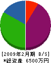 渡辺工務店 貸借対照表 2009年2月期