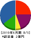 和田工務店 貸借対照表 2010年6月期