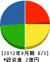 渡辺賢工務店 貸借対照表 2012年9月期