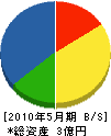 田中造園 貸借対照表 2010年5月期