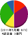 丸ス松井材木店 貸借対照表 2011年5月期