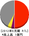 藤田電気工業 損益計算書 2012年6月期