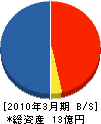 江守エンジニアリング 貸借対照表 2010年3月期