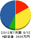 沖田電気商会 貸借対照表 2012年7月期