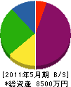 片岡工業 貸借対照表 2011年5月期