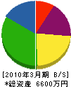 エスケイ電気 貸借対照表 2010年3月期