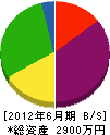平成グラウト 貸借対照表 2012年6月期