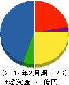 旭陽電機 貸借対照表 2012年2月期