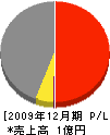 富澤塗装店 損益計算書 2009年12月期