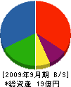 神奈川電設 貸借対照表 2009年9月期