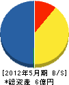 九州電気サポート 貸借対照表 2012年5月期