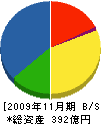 日本オーチス・エレベータ 貸借対照表 2009年11月期