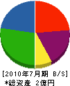 上野組 貸借対照表 2010年7月期