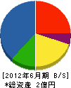 渡辺技工 貸借対照表 2012年6月期