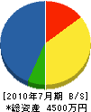 宮崎電設 貸借対照表 2010年7月期