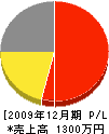 徳井造園 損益計算書 2009年12月期